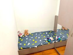 sophia-hills photo thumbnail #2